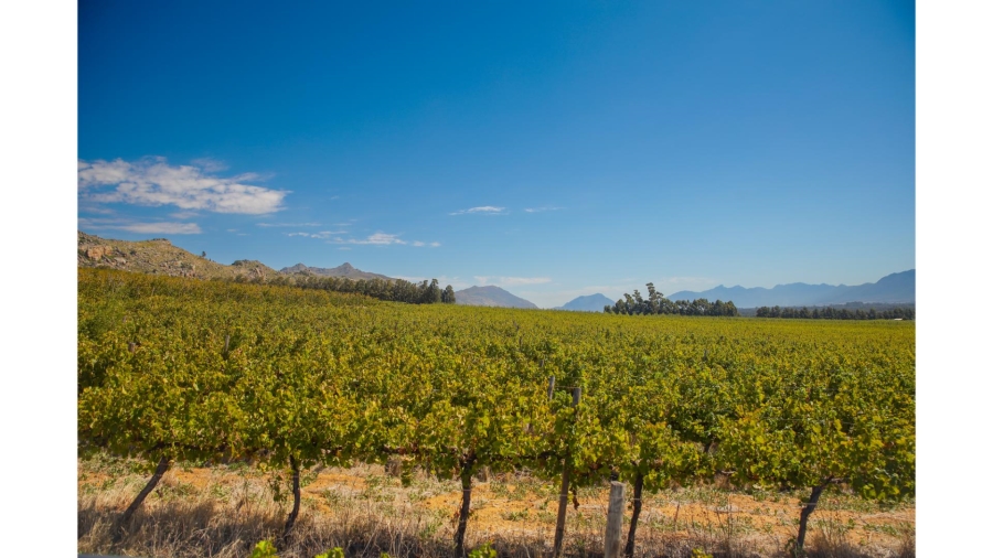 Commercial Property for Sale in Wolseley Western Cape